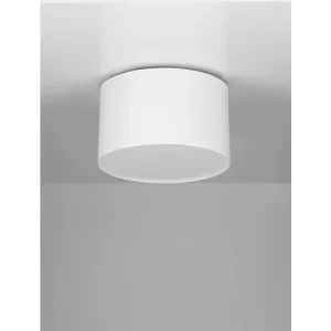 LULDO STROPNA SVJETILJKA LED/3000K/10W/588Lm/BIJELA