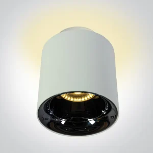 NADGRADNI REFLEKTOR 10W+2W WW IP20 60deg 230V BIJELI