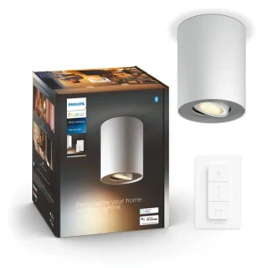 Pillar Hue STROPNA SVJETILJKA BIJELA 1x5W 2200-6500K + DALJINSKI UPRAVLJAČ