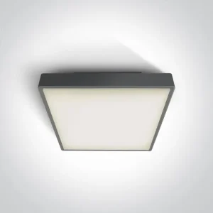 PLAFONJERA LED 2×E27/18W/PLC/230V IP65 ANTRACIT