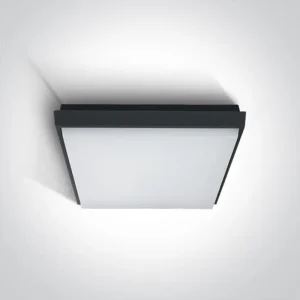PLAFONJERA LED/30W/2500lm/3000K/230V IP54 ANTRACIT