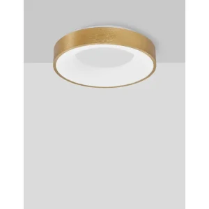 rando-thin-plafonska-svjetiljka-led-30w3000k1845lmdimmip20br-35990-02101980.webp RANDO THIN PLAFONSKA SVJETILJKA LED 30W/3000K/1845lm/DIMM/IP20/BRUŠENA ZLATNA