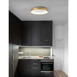 rando-thin-plafonska-svjetiljka-led-50w3000k2864lmdimmip20br-47608-02101994.webp RANDO THIN PLAFONSKA SVJETILJKA LED 50W/3000K/2864lm/DIMM/IP20/BRUŠENA ZLATNA