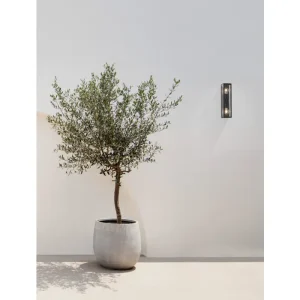 REGINA VANJSKA ZIDNA SVJETILJKA E27 2X12W/IP65/ANTRACIT