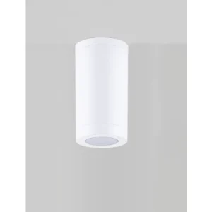 SPOT VANJSKI STROPNI REFLEKTOR 1×GU10/230V IP54 BIJELA