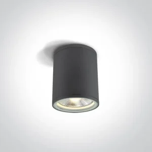 STROPNA SVJETILJKA 1×E27/75W/PAR30/230V IP54 ANTRACIT