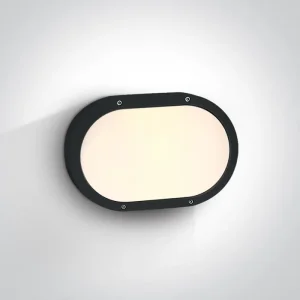 STROPNA/ZIDNA SVJETILJKA 2×E27/20W/230V IP54 CRNA