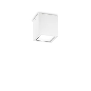 TECHO STROPNA LAMPA PL1 MALA BIJELA GU10 IP54