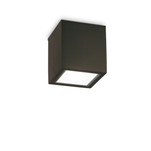TECHO STROPNA LAMPA PL1 VELIKA CRNA GU10 IP54